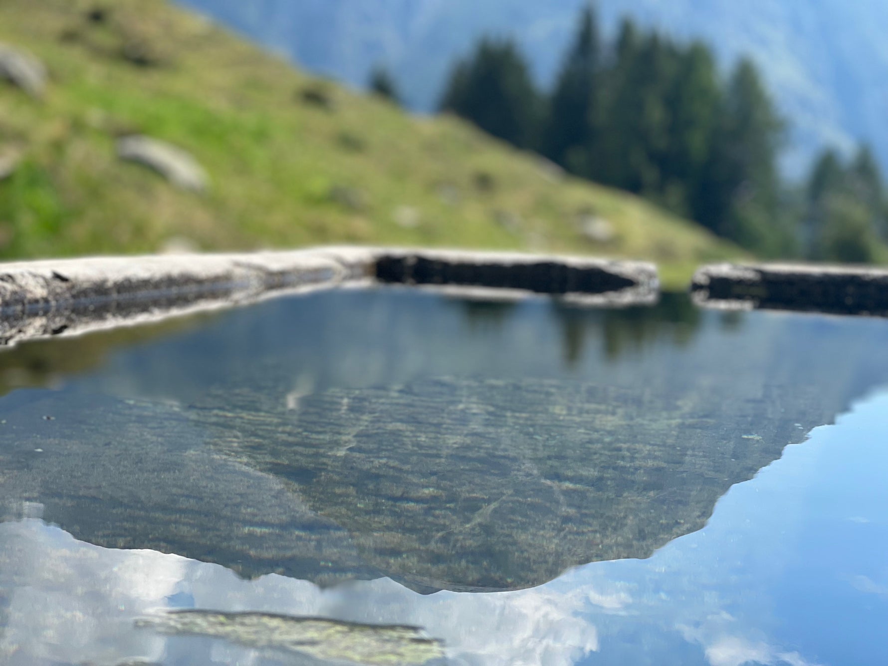 Tisane come Nutraceutico: il ritorno potente dell’erboristeria