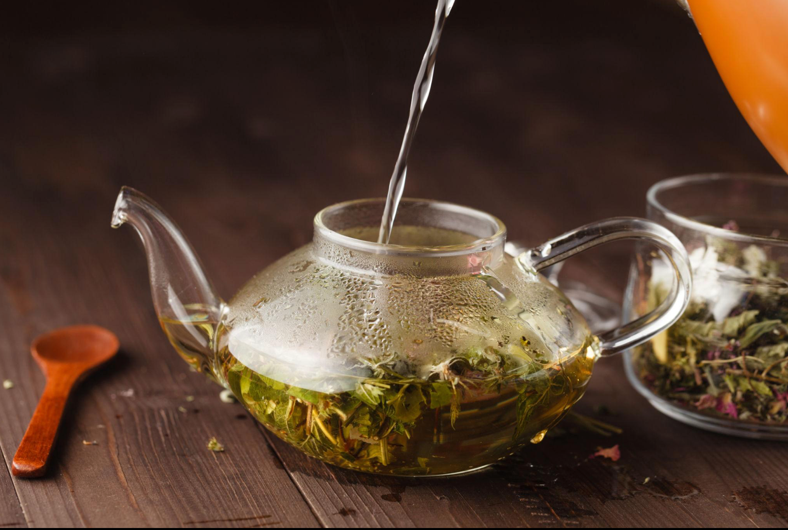 Tisane come Nutraceutico: il ritorno potente dell’erboristeria