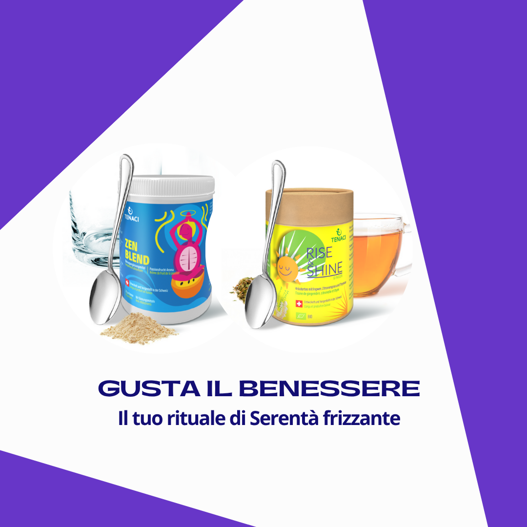 Zen Blend &amp; Kräutertee R&amp;S Ingwer BIO